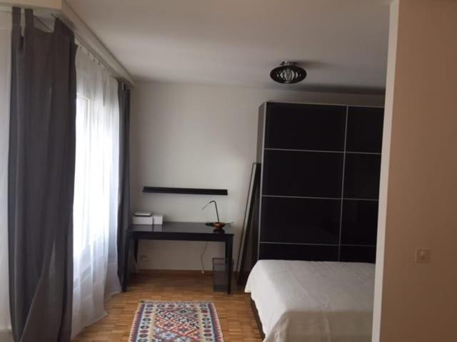 Cosy & Comfy - 20m From Riverbank Apartment Genf